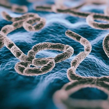 OMS declara emergência global por surto de ebola; o que isso significa?