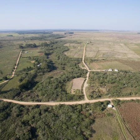 Licenciamento ambiental tipo 'fast food': rápido, rasteiro e indigesto Mariana Mota*