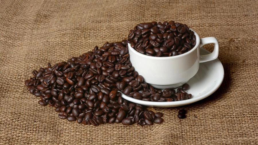 Café: risco climático ameaça recuperação de estoques e bagunça o preço Graciliano Rocha