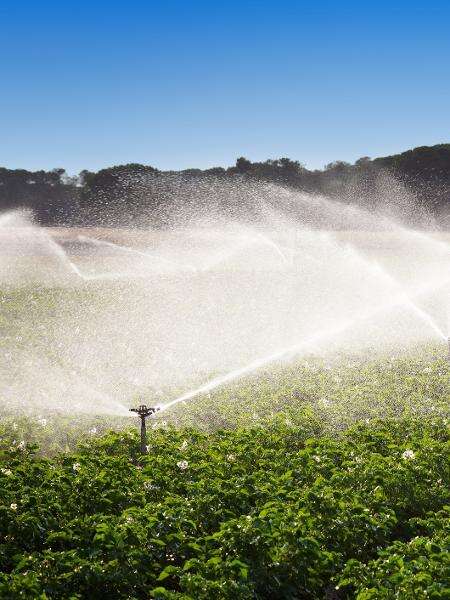 Retração do Fiagro, RJs cercam o agro: como fica o 'médio investidor'? Mariana Grilli