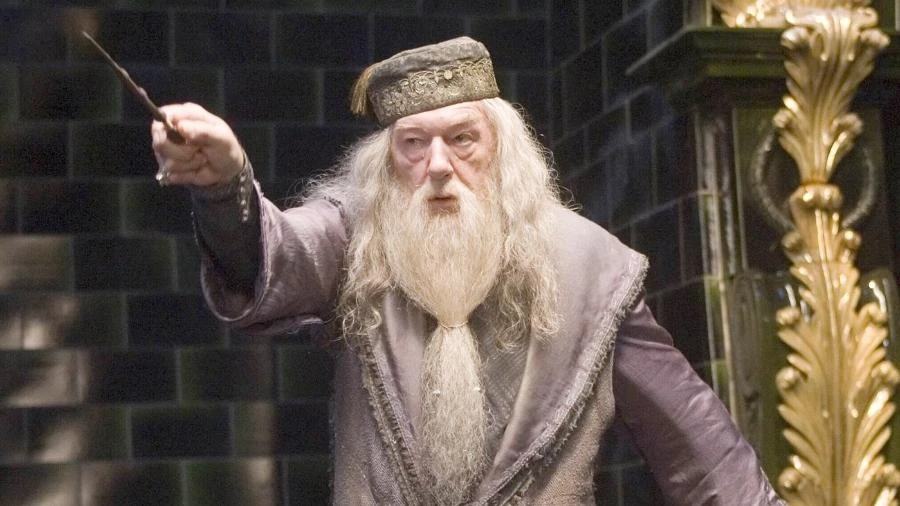 Dumbledore, Anna, Rey: 10 líderes inspiradores de séries e filmes