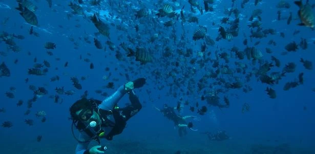 Pesca em Fernando de Noronha é liberada, apesar de haver parecer contrário