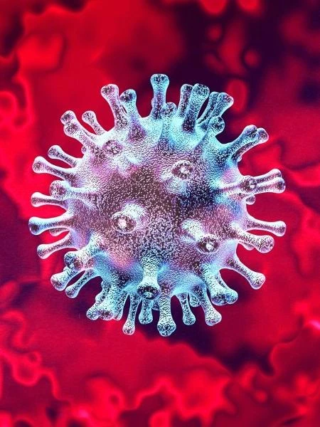 Estudo mostra como células respondem à covid e pode beneficiar tratamentos