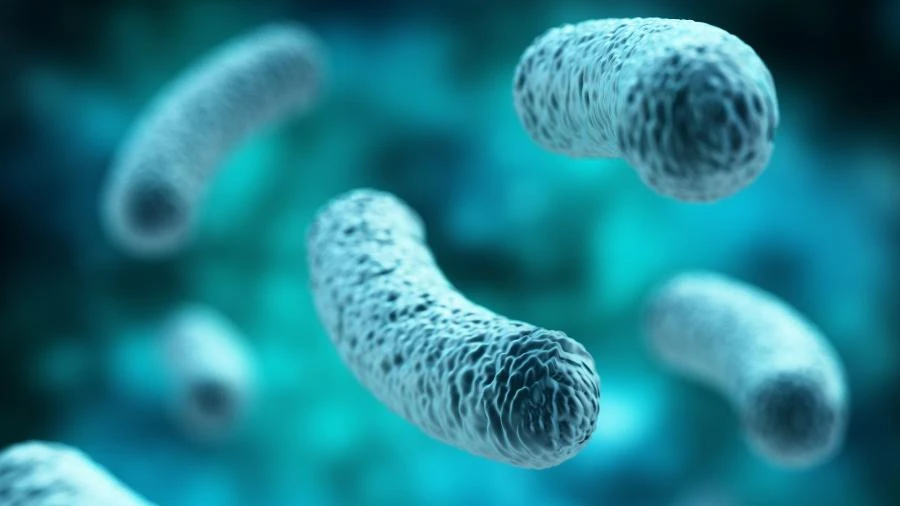 Infecções por superbactérias 'intratáveis' crescem 460% nos EUA em 4 anos