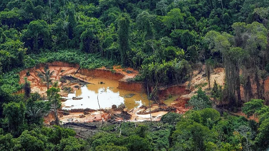 Ouro rende mais que coca, mas garimpeiros são menos alvo que traficantes