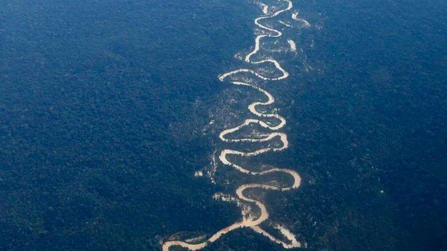 É falso que 80% da biodiversidade do planeta está em terras indígenas, diz estudo