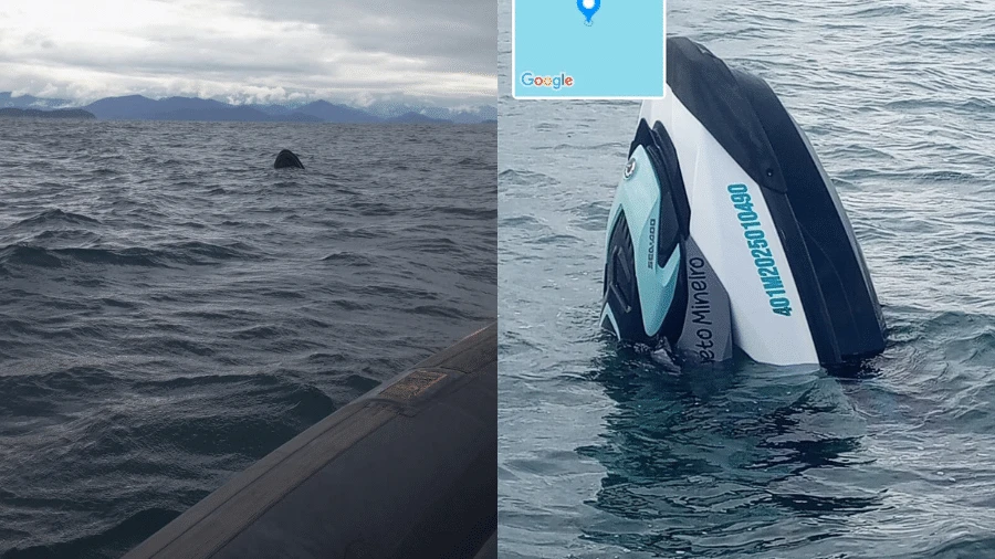 Marinha abre inquérito para investigar acidente de moto aquática em Ilhabela