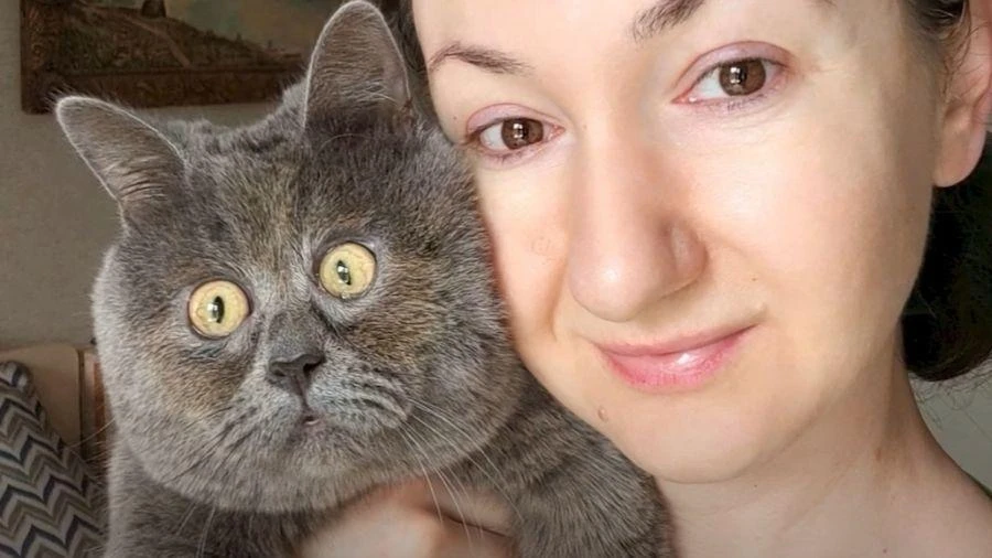 Gatinha 'eternamente assustada' faz sucesso na internet; entenda