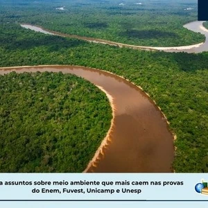 Meio ambiente: veja assuntos que caem no Enem, Fuvest, Unicamp e Unesp