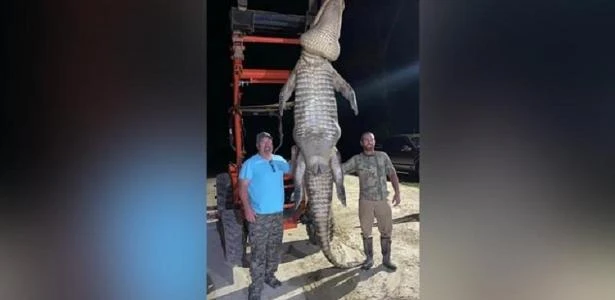 Pescador se diz perseguido por jacaré por anos e mata animal de 4 m nos EUA