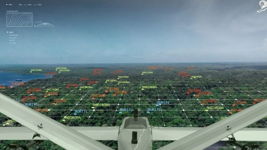 Mapeamento da Amazônia por meio de drones rende prêmio ao Brasil em Cannes