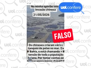 É falso que chineses invadiram a Bahia com tanques de peixes