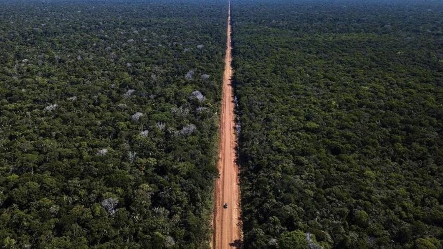Senado aprova PL que agrava o clima, gera boicotes e humilha Brasil na COP Leonardo Sakamoto