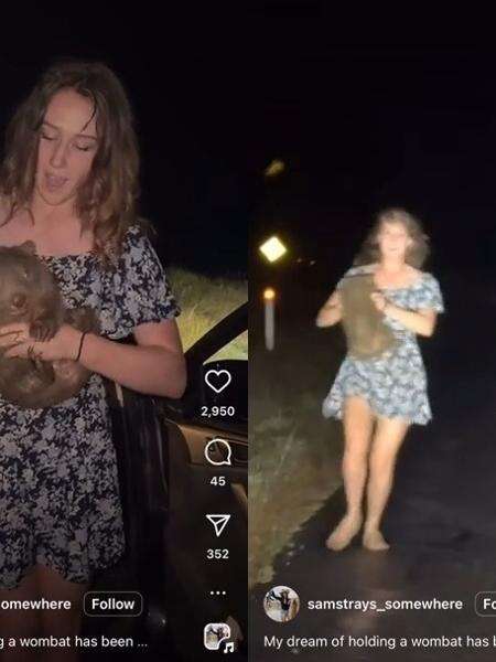 Turista dos EUA posta foto com filhote de wombat e é criticada: 'Deportem'