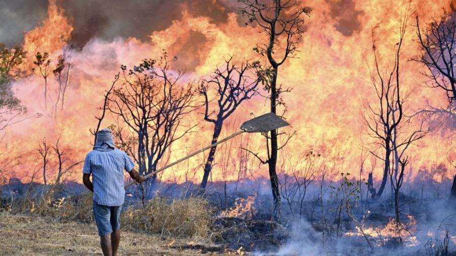 DF bate recorde médio de queimadas com fogo em parque e 146 dias sem chuva Carlos Madeiro