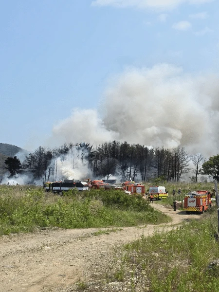 Avião da Marinha da Coreia do Sul cai em montanha; havia 4 pessoas a bordo
