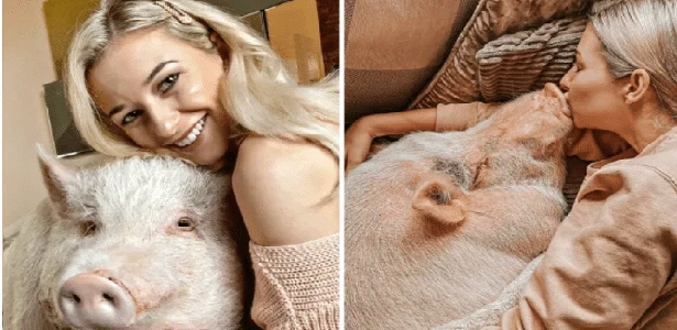 Youtuber inglesa cria porco de estimação de 80 quilos dentro de casa