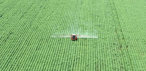 Brasil sofre com desemprego, mas agronegócio cria 98 mil vagas; café lidera