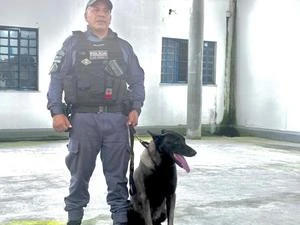 Melhor cão farejador da PM encontra droga escondida em fruta e até botijão José Roberto de Toledo e Thais Bilenky