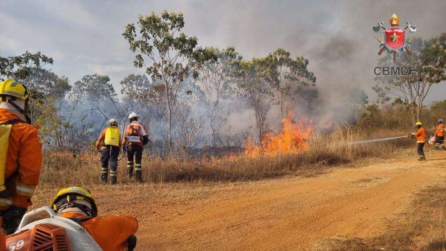 Polícia do DF anuncia força-tarefa contra incêndios com indícios de crime