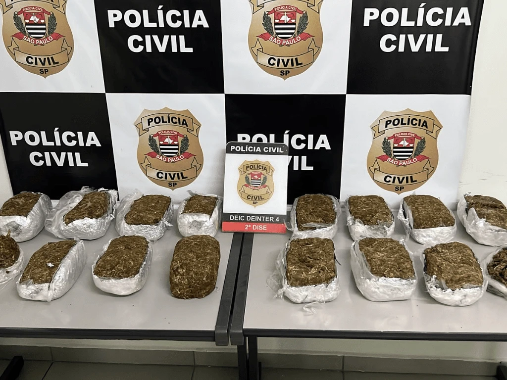Polícia Civil apreende 15 tijolos de maconha dentro de um freezer