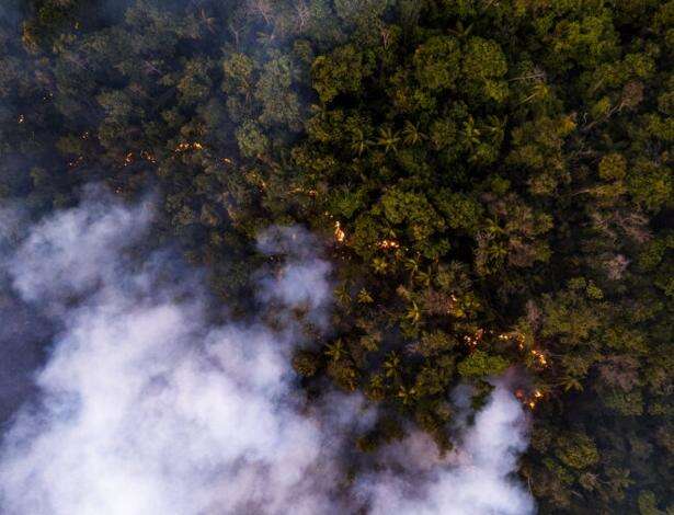 Incêndio florestal força fechamento de escolas em Brasília. Veja imagens aéreas