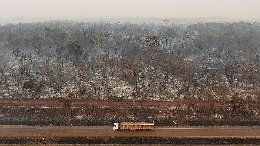 SP à frente da Bahia: veja os estados com mais áreas queimadas em 2024