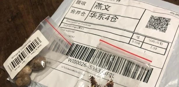 China diz ver indícios de fraude em sementes misteriosas enviadas ao Brasil