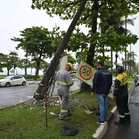 Ventos de até 99 km/h causam estragos e derrubam árvores no litoral de SP