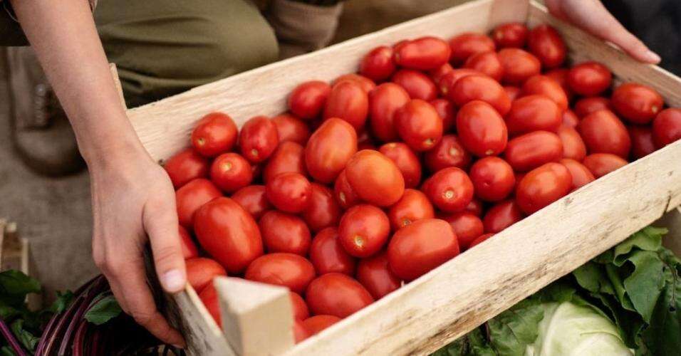 Fugini tem o molho de tomate mais vendido do Brasil no varejo