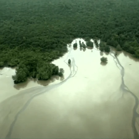 Foz do Amazonas: MP pede que Ibama só conceda licença após novos exercícios