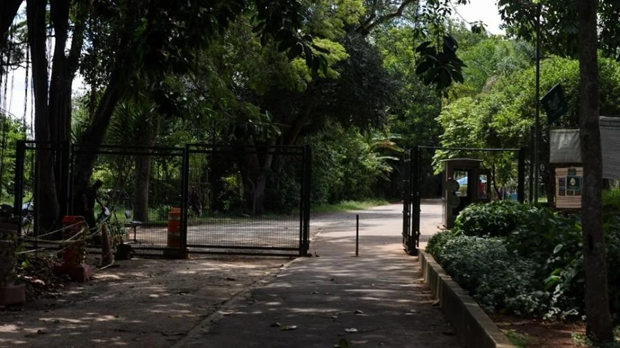 Temperatura negativa: por que faz tanto frio na zona sul de São Paulo?