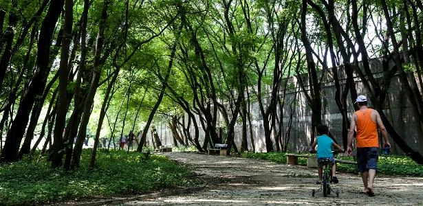 São Paulo libera ida a parques no fim de semana e a cemitérios em Finados