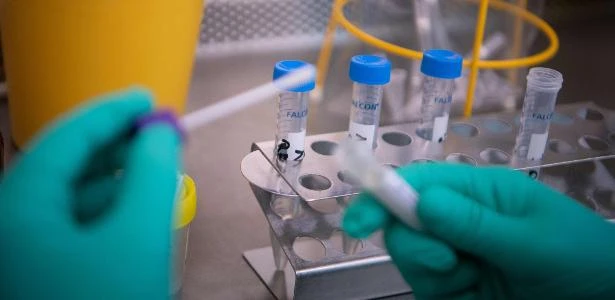 Alemanha tem mais um recorde de casos de infecção pelo novo coronavírus