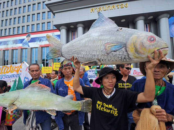 Hidroeléctricas acaban con peces; peligran 1 de cada 5 especies del río Mekong 