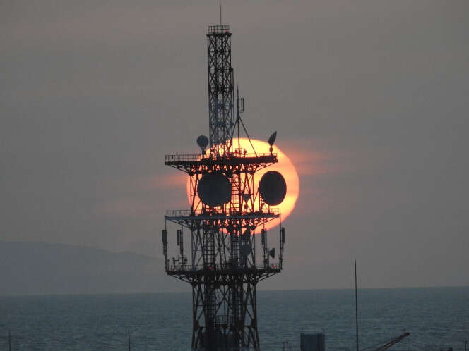 ¡Hermoso! Captan al 'Panda del atardecer' en Japón; graban VIDEO del momento