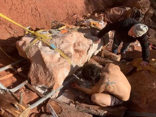 ¡Asombroso! Descubren esqueleto de dinosaurio gigante en el sur de Francia