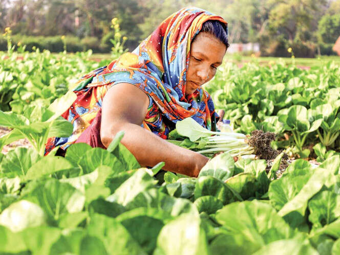 Feminismos, cruciales contra el cambio climático; una lucha global