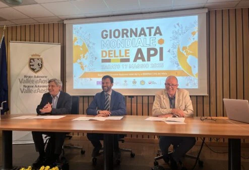 Il 17 maggio la Valle d’Aosta festeggia la giornata mondiale delle api