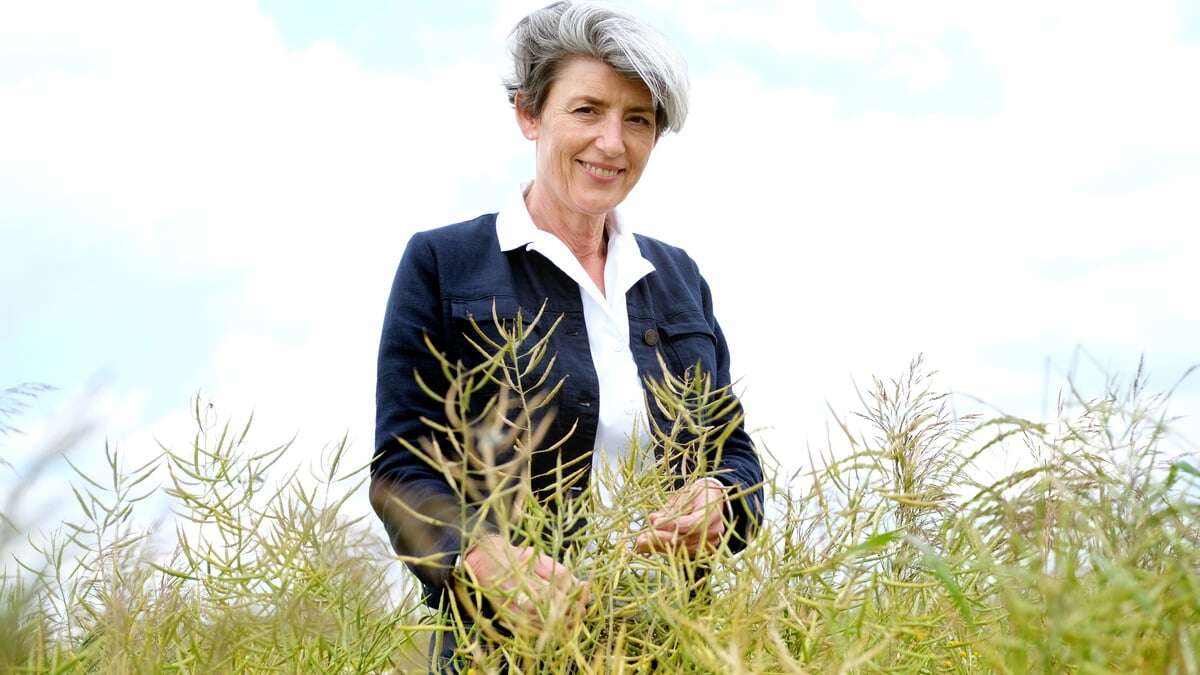 Bio-Hersteller aus Lommatzsch für Deutschen Nachhaltigkeitspreis nominiert