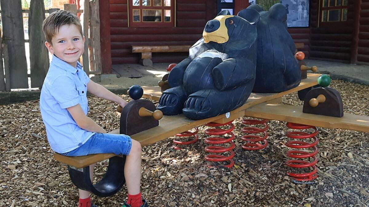 Neue Attraktion für Familien: Görlitzer Tierpark hat jetzt eine Bärenwippe