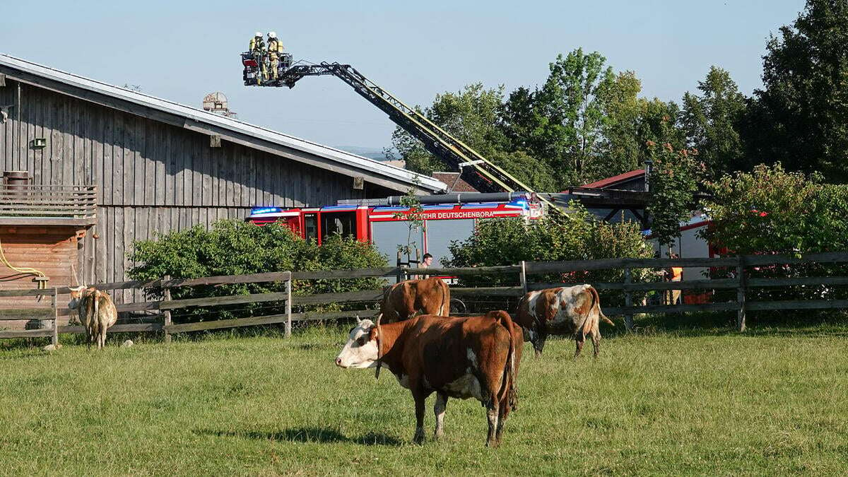 Mahlitzsch: Dach eines Kuhstalls in Brand geraten