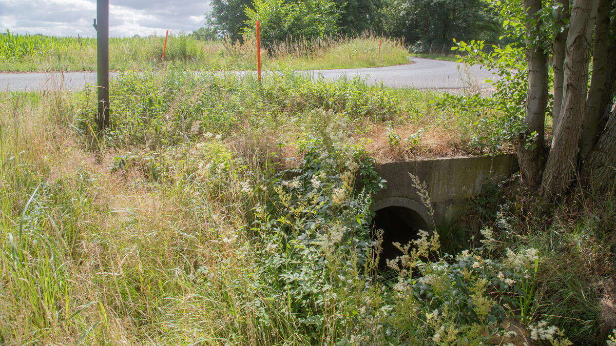 Kodersdorf befreit Bach von Betonkorsett