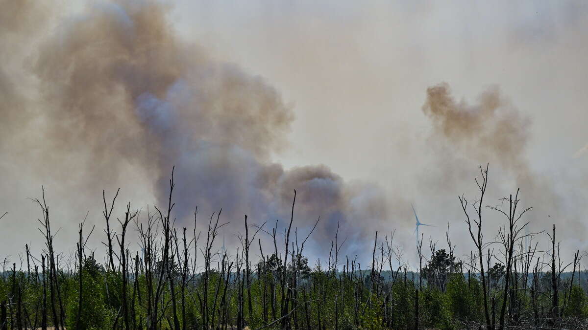 Waldbrand bei Jüterbog breitet sich aus - Baerbock vor Ort