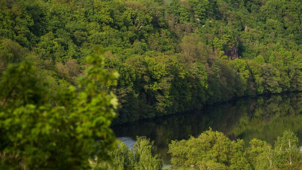 Neue Brücke über Freiberger Mulde wird gebaut