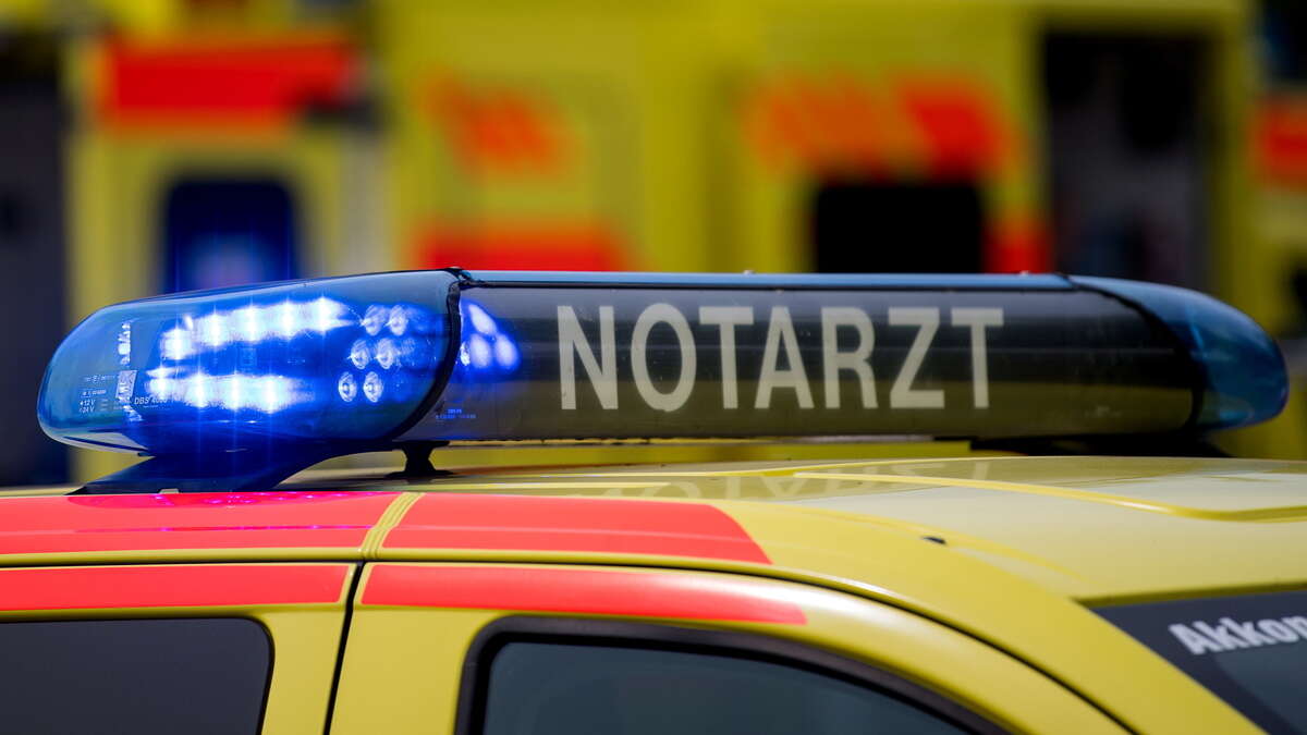 Jugendlicher stirbt bei Sturz Aussichtsplattform im Harz