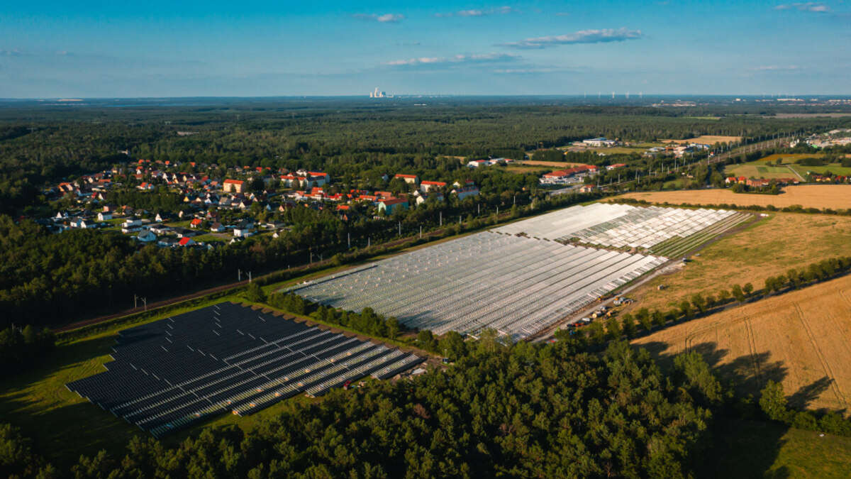 Hier wird demnächst auf zehn Hektar die Energie der Sonne angezapft