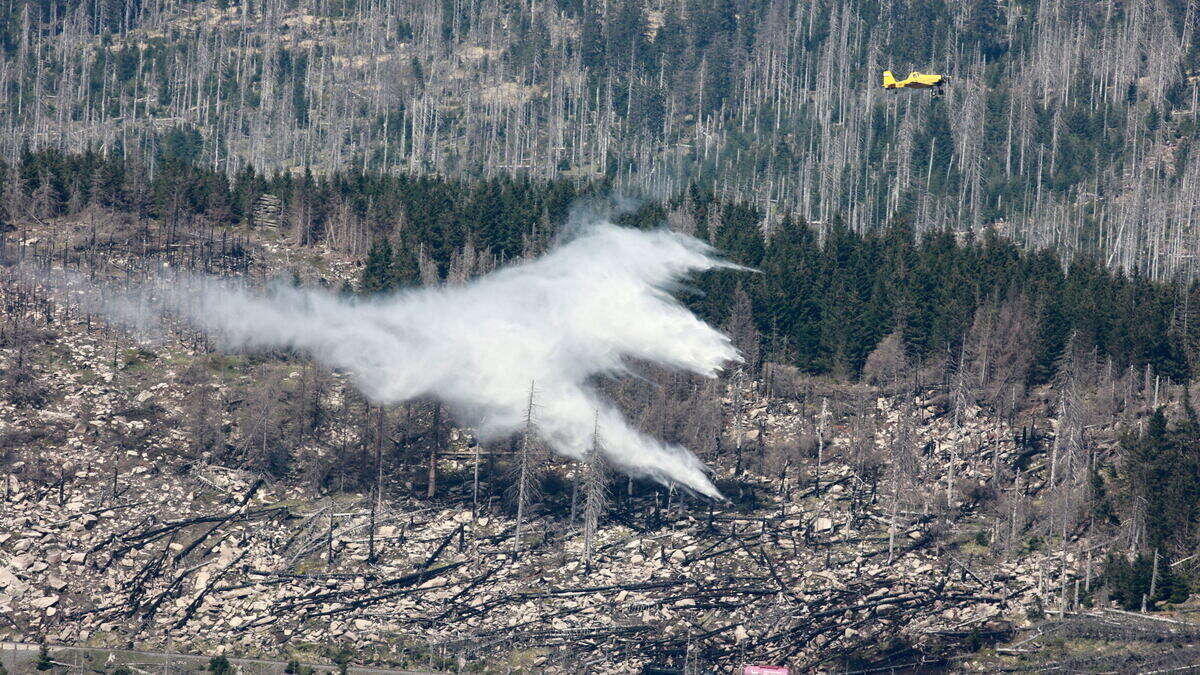 Waldbrand im Harz - 500 Menschen werden vom Brocken geholt