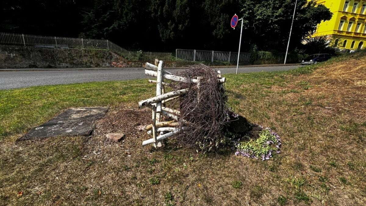 Stadt Leisnig sucht Zeugen für Vandalismus