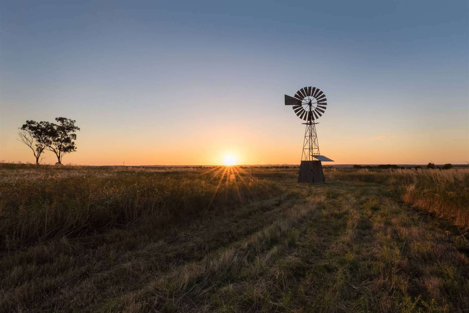 Man wat glo hondjies doodmaak, man aanrand, op NW-plaas vermoor